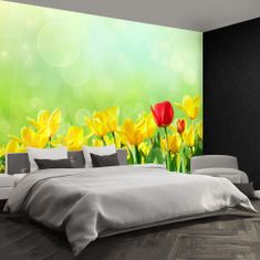 tulup.cz Fototapeta Žluté tulipány Fototapeta Samolepící 104x70 cm