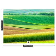 tulup.cz Fototapeta Venkovské krajiny Fototapeta Samolepící 104x70 cm