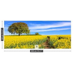 tulup.cz Fototapeta Žluté květy Fototapeta Samolepící 250x104 cm