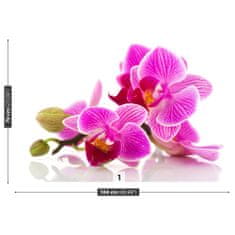 tulup.cz Fototapeta Květy orchidejí Fototapeta Samolepící 104x70 cm