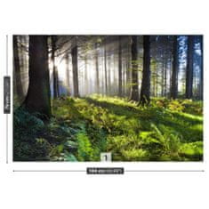 tulup.cz Fototapeta Dřevo slunce Fototapeta Vliesová 104x70 cm