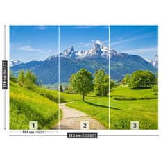 tulup.cz Fototapeta Letní Alpy Fototapeta Samolepící 312x219 cm