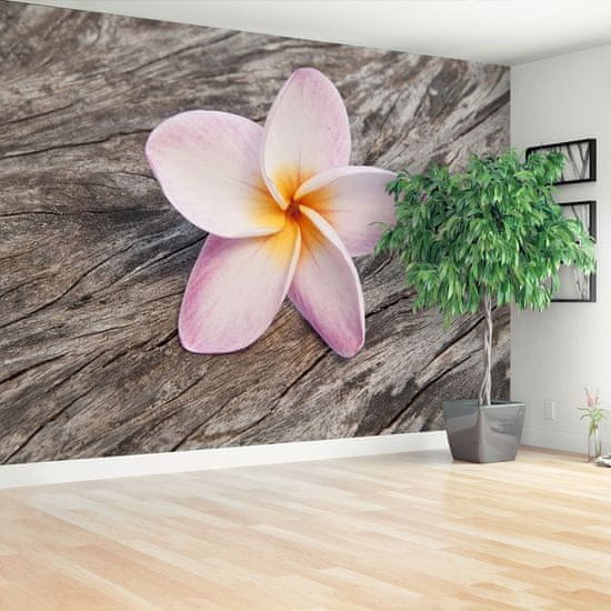 tulup.cz Fototapeta Frangipani Wood Fototapeta Vliesová