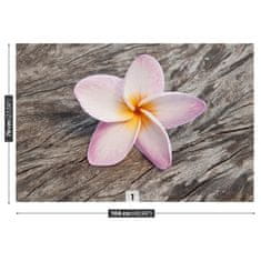 tulup.cz Fototapeta Frangipani Wood Fototapeta Samolepící 104x70 cm