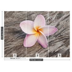 tulup.cz Fototapeta Frangipani Wood Fototapeta Vliesová 312x219 cm