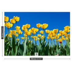 tulup.cz Fototapeta Tulipán Květiny Fototapeta Vliesová 104x70 cm