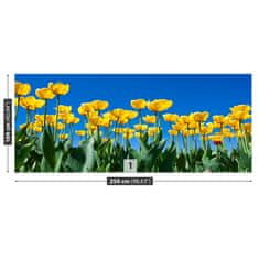 tulup.cz Fototapeta Tulipán Květiny Fototapeta Samolepící 250x104 cm