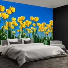 tulup.cz Fototapeta Tulipán Květiny Fototapeta Samolepící 250x104 cm