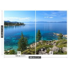 tulup.cz Fototapeta Jezero Tahoe Fototapeta Samolepící 208x146 cm