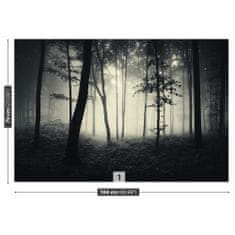 tulup.cz Fototapeta les mlha Fototapeta Vliesová 104x70 cm