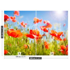 tulup.cz Fototapeta Červené Vlčí máky Fototapeta Samolepící 208x146 cm