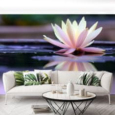 tulup.cz Fototapeta lotus Fototapeta Samolepící 250x104 cm