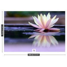 tulup.cz Fototapeta lotus Fototapeta Vliesová 104x70 cm