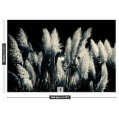 tulup.cz Fototapeta Černý třtina Fototapeta Vliesová 104x70 cm