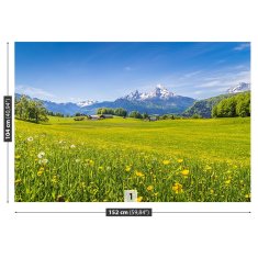 tulup.cz Fototapeta Alpské louky Fototapeta Samolepící 152x104 cm