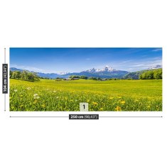 tulup.cz Fototapeta Alpské louky Fototapeta Vliesová 250x104 cm