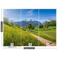 tulup.cz Fototapeta Idylické Alpy Fototapeta Samolepící 312x219 cm