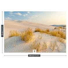 tulup.cz Fototapeta Bunesk Dunes Fototapeta Samolepící 104x70 cm