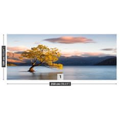 tulup.cz Fototapeta Stromové jezero Fototapeta Vliesová 250x104 cm