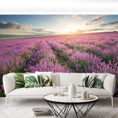 tulup.cz Fototapeta Lavender louka Fototapeta Samolepící 208x146 cm