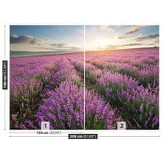 tulup.cz Fototapeta Lavender louka Fototapeta Samolepící 208x146 cm