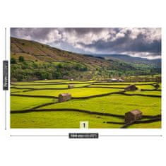 tulup.cz Fototapeta Yorkshire pole Fototapeta Samolepící 104x70 cm