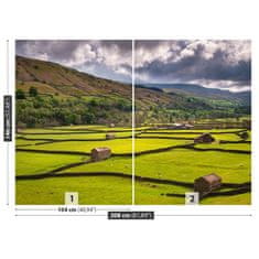 tulup.cz Fototapeta Yorkshire pole Fototapeta Vliesová 208x146 cm