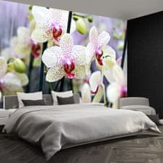 tulup.cz Fototapeta Květy orchidejí Fototapeta Samolepící 104x70 cm