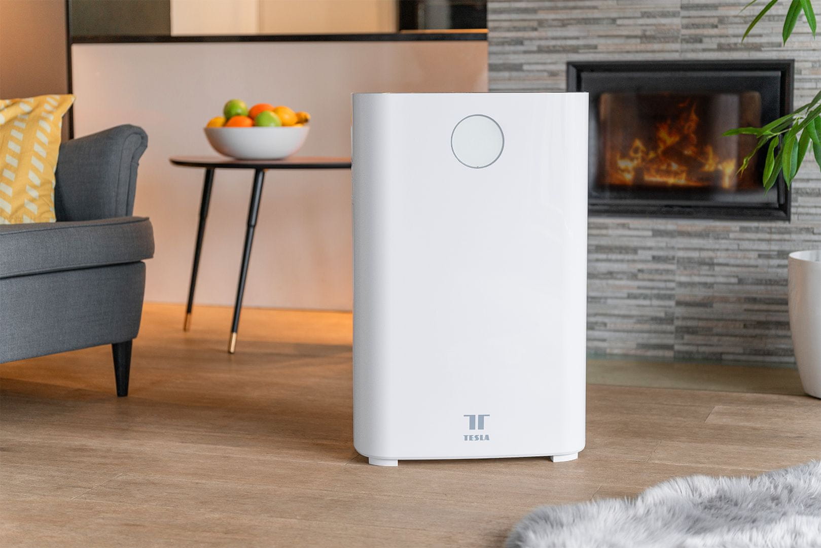   Tesla-Smart Air Purifier Pro L