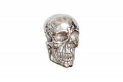 Greatstore Nástěnná dekorace INVICTA SKULL stříbrná