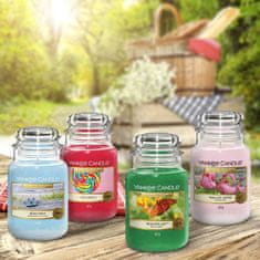 Yankee Candle vonná svíčka Beach Walk (Procházka po pláži) 623g