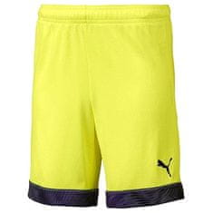 Puma Pánské šortky , CUP Shorts, 704034-046|S