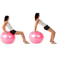 shumee MOVIT Gymnastický míč s nožní pumpou, 65 cm, fialový