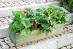 shumee Zahradní květináč truhlík 64 cm zelený