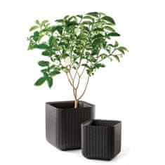 shumee Květináč CUBE PLANTER M - hnědý