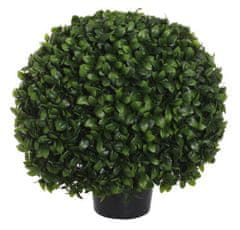 Shishi Buxus keř koule, 60 cm