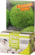 Hnojivo SILVA TABS na okrasné dřeviny 250g 25 tablet