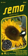 Semo Slunečnice roční - Slunečnice pro ptáčky 2g