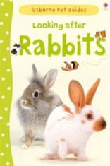 Usborne Looking after rabbits
