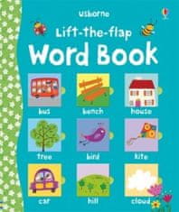 Usborne Lift-the-flap Word Book