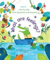 Usborne What are Feelings?