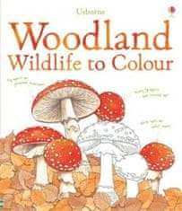 Usborne Woodland wildlife to colour