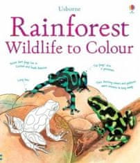 Usborne Rainforest wildlife to colour