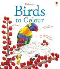 Usborne Birds to colour