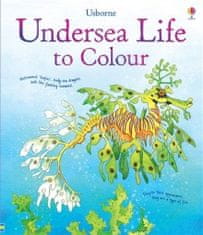 Usborne Undersea life to colour