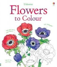 Usborne Flowers to colour