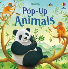 Usborne Pop-Up Animals