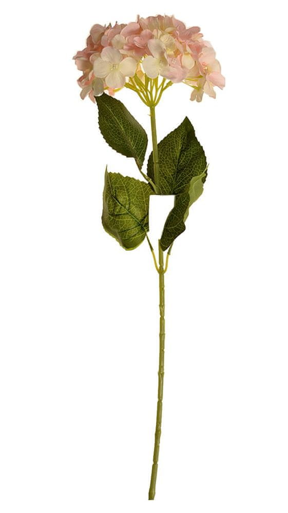 EverGreen Hortenzie, kv.18 cm, výška 75 cm světlá růžová