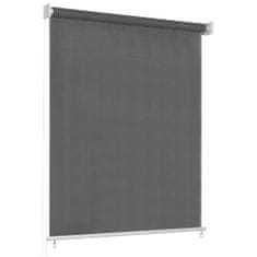 Greatstore Venkovní roleta 60 x 230 cm antracitová