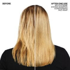 Redken Posilující kondicionér pro poškozené vlasy Extreme (Fortifier Conditioner For Distressed Hair) (Objem 300 ml - nové balení)